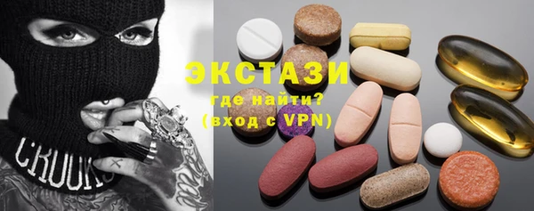 индика Сосновоборск