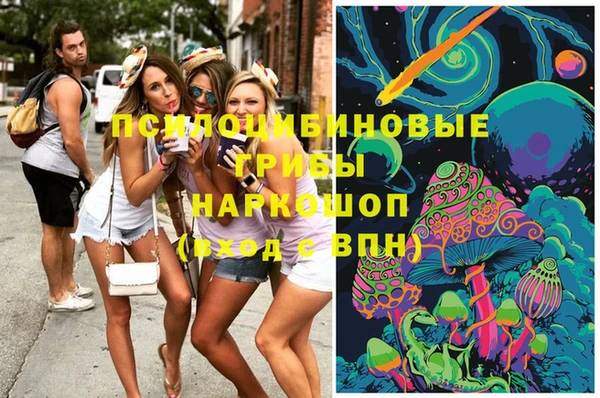 бошки Сосновый Бор