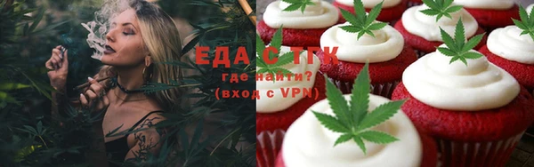 индика Сосновоборск