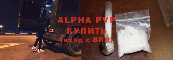 индика Сосновоборск