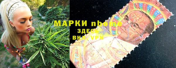 индика Сосновоборск