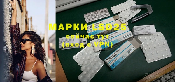 индика Сосновоборск