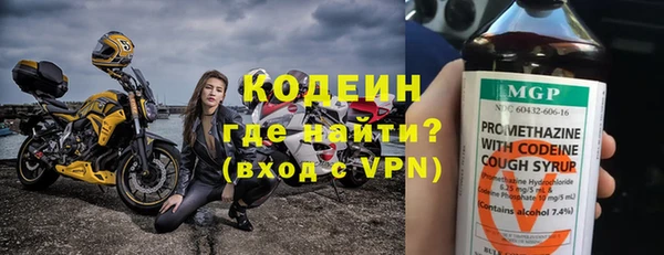 индика Сосновоборск