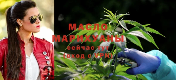 индика Сосновоборск
