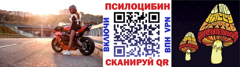 Псилоцибиновые грибы мицелий Шумиха